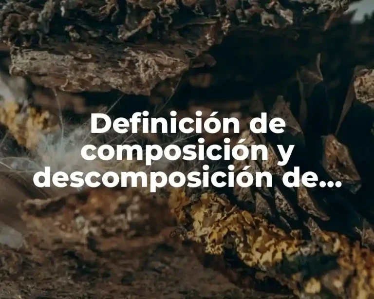 Definición de composición y descomposición de números naturales