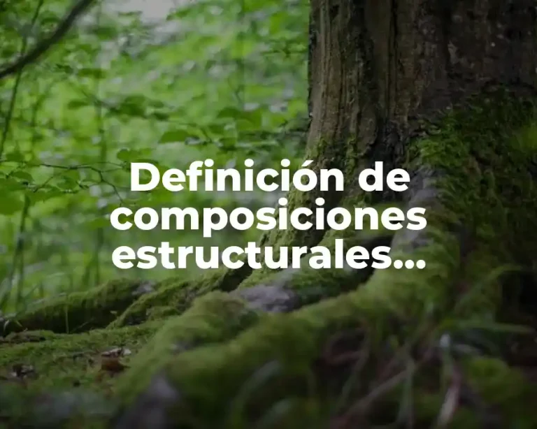 Definición de composiciones estructurales arquitectura