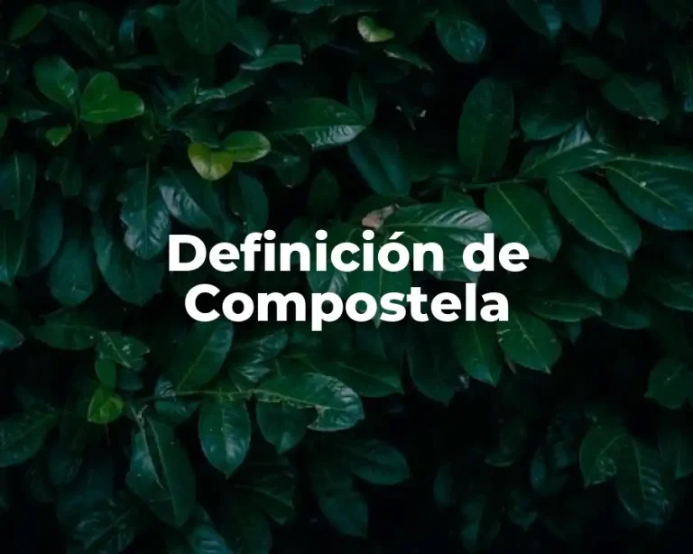 Definición de Compostela