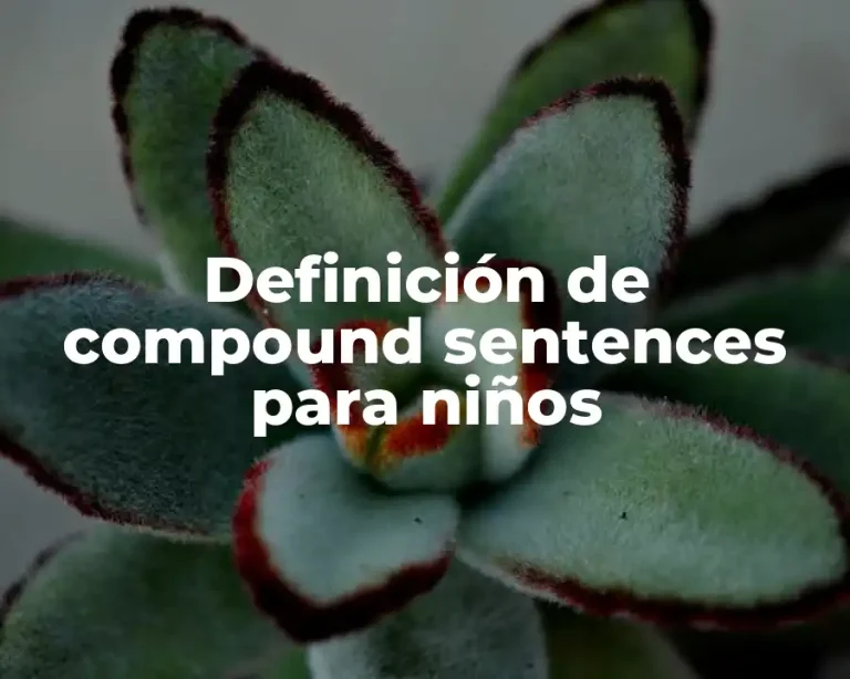 Definición de compound sentences para niños
