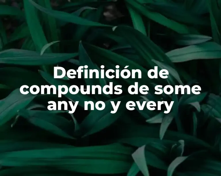 Definición de compounds de some any no y every