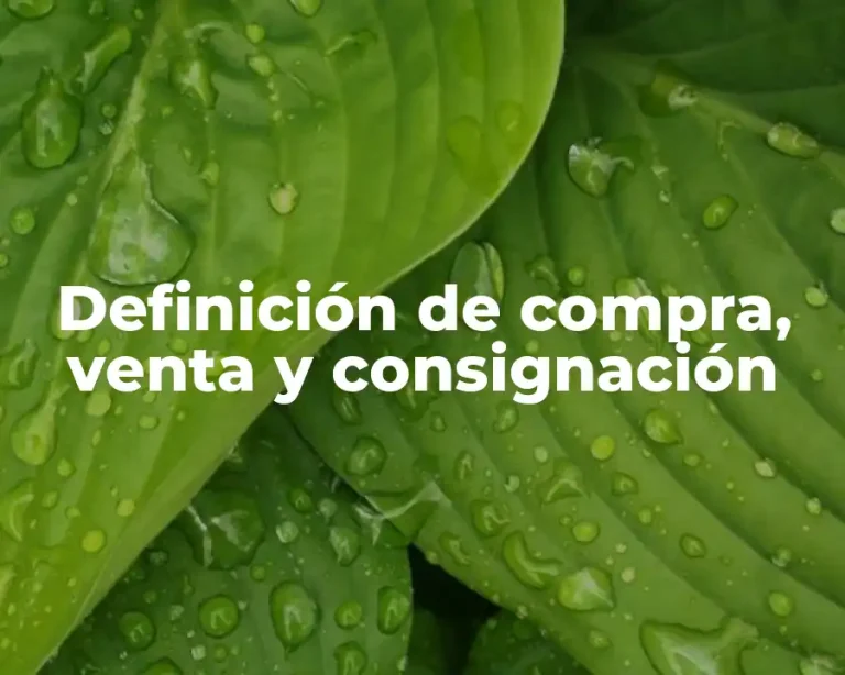 Definición de compra, venta y consignación