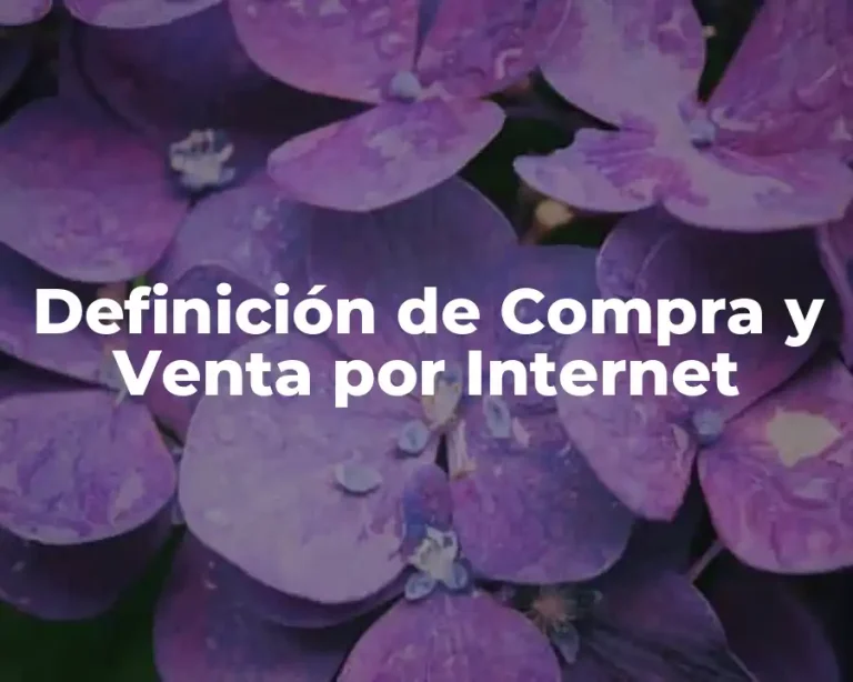 Definición de Compra y Venta por Internet