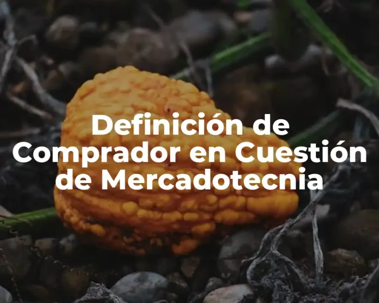 Definición de Comprador en Cuestión de Mercadotecnia