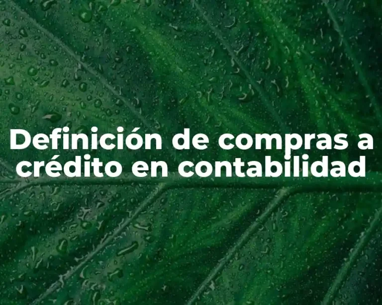 Definición de compras a crédito en contabilidad