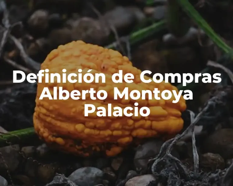 Definición de Compras Alberto Montoya Palacio