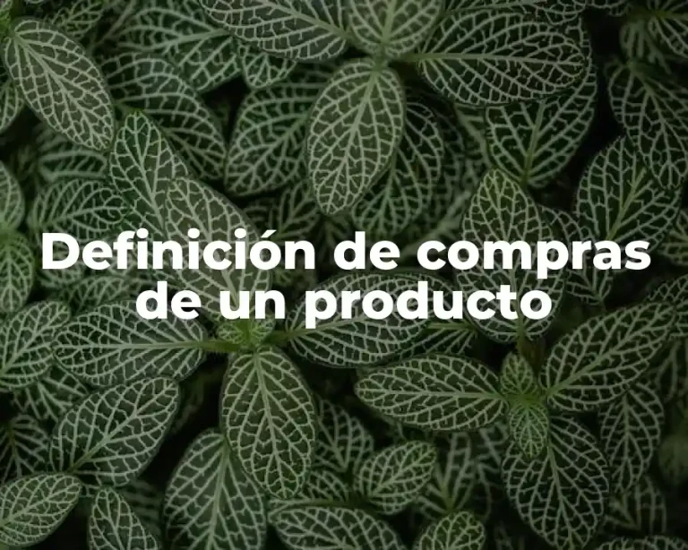 Definición de compras de un producto