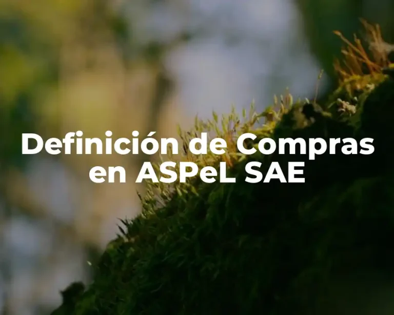 Definición de Compras en ASPeL SAE