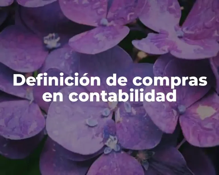 Definición de compras en contabilidad