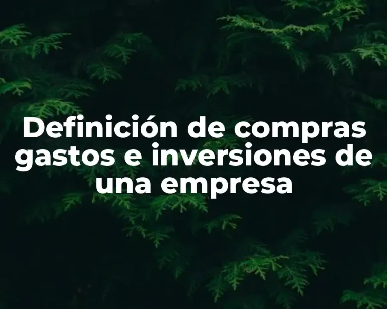 Definición de compras gastos e inversiones de una empresa
