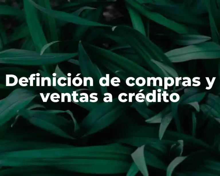 Definición de compras y ventas a crédito