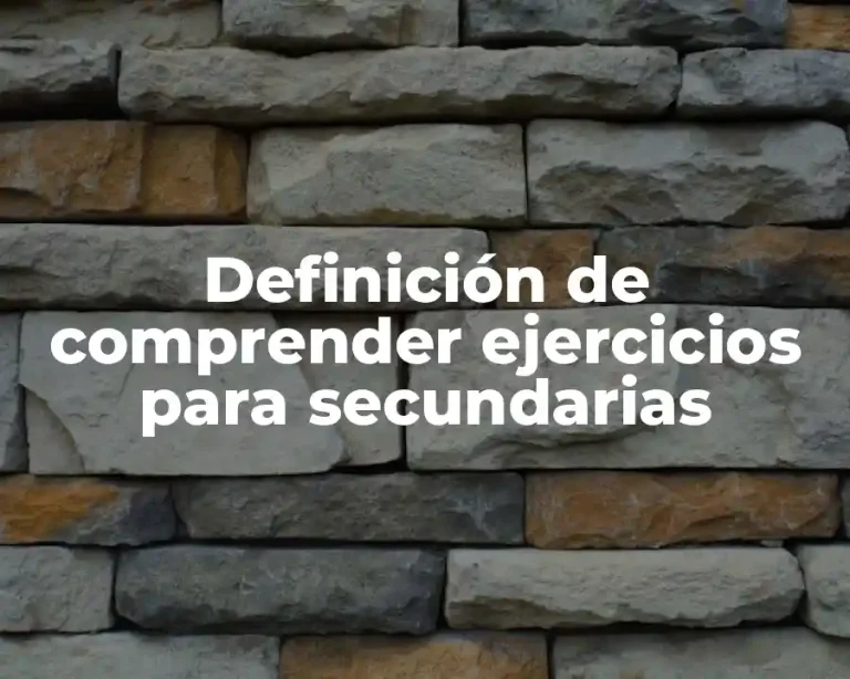 Definición de comprender ejercicios para secundarias