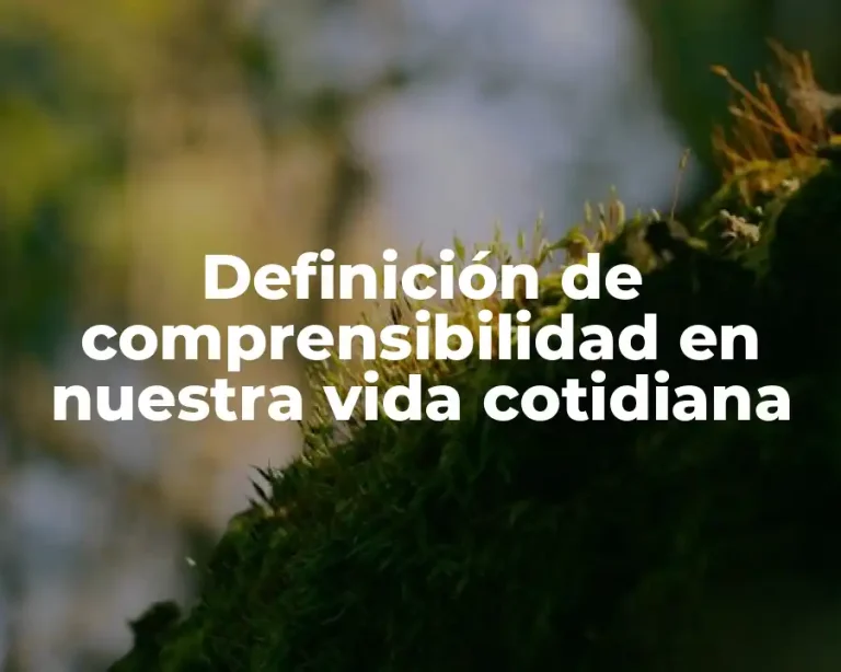 Definición de comprensibilidad en nuestra vida cotidiana