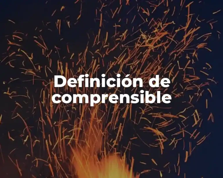Definición de comprensible