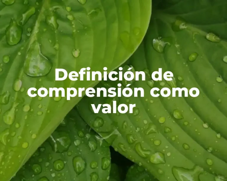 Definición de comprensión como valor