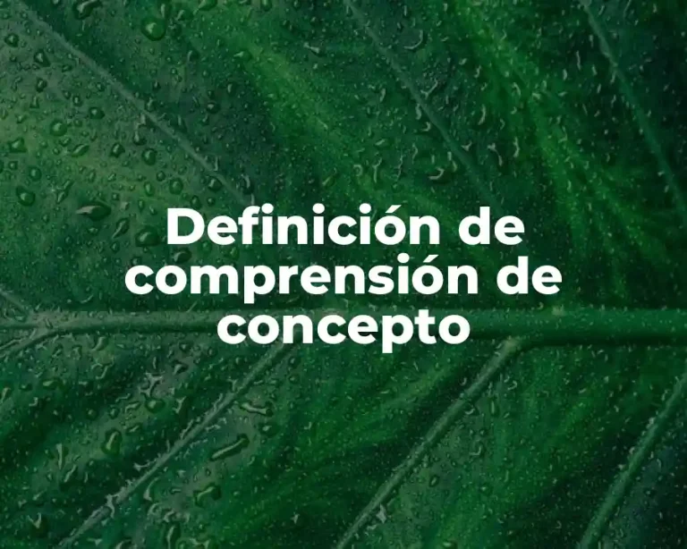 Definición de comprensión de concepto