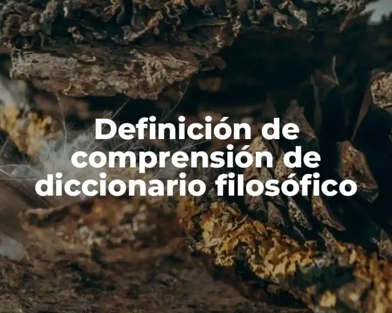 Definición de comprensión de diccionario filosófico