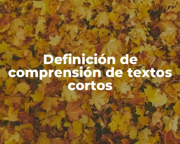 Definición de comprensión de textos cortos