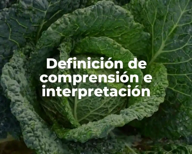 Definición de comprensión e interpretación