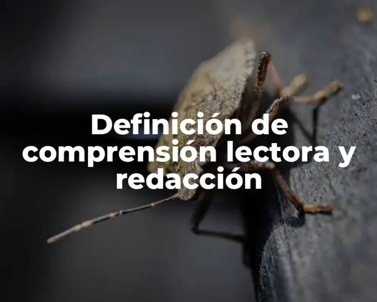 Definición de comprensión lectora y redacción