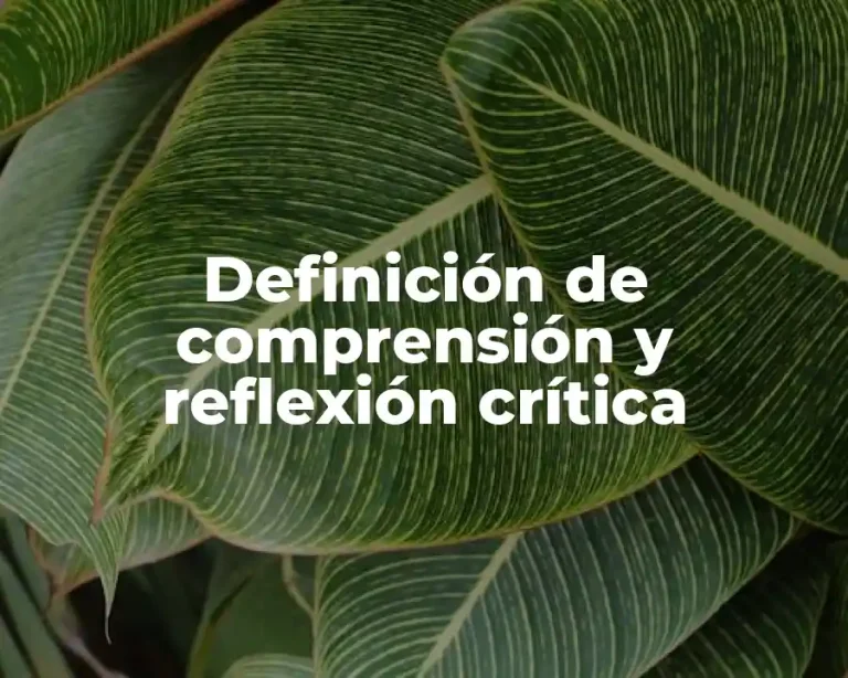 Definición de comprensión y reflexión crítica