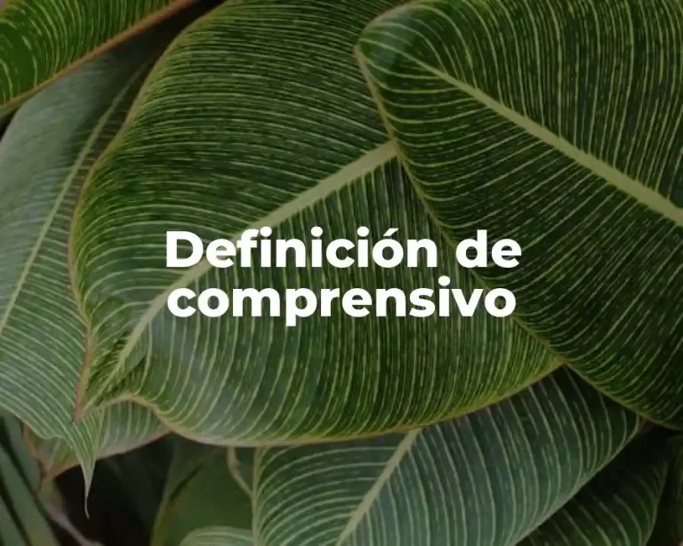 Definición de comprensivo