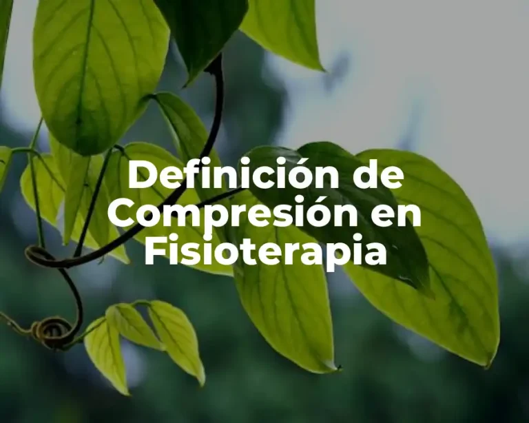 Definición de Compresión en Fisioterapia