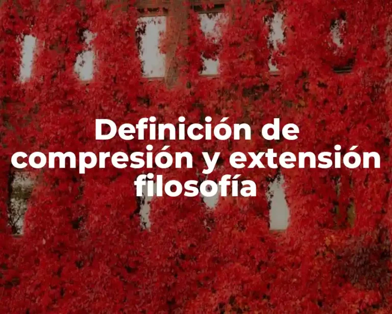 Definición de compresión y extensión filosofía