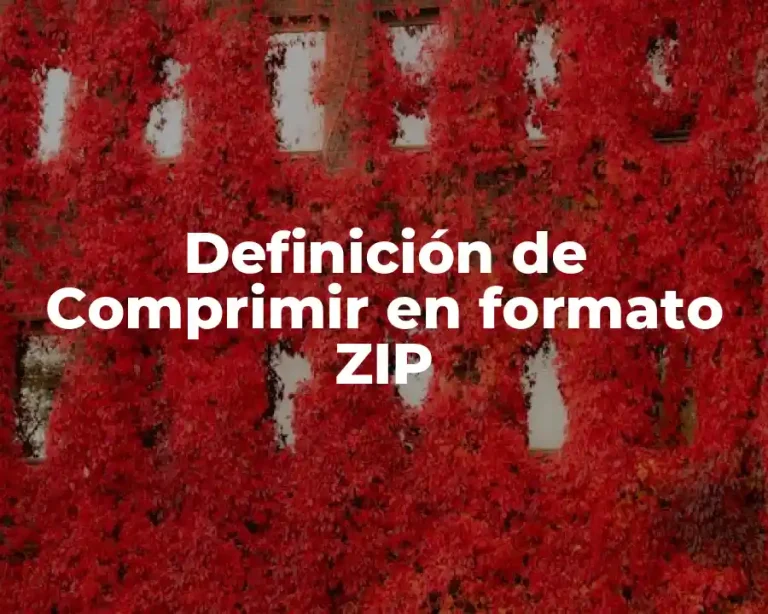 Definición de Comprimir en formato ZIP