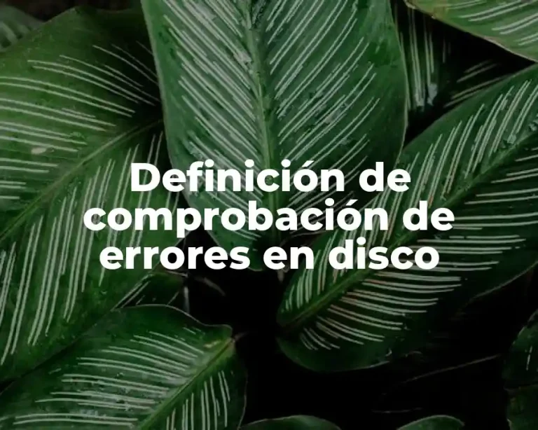 Definición de comprobación de errores en disco