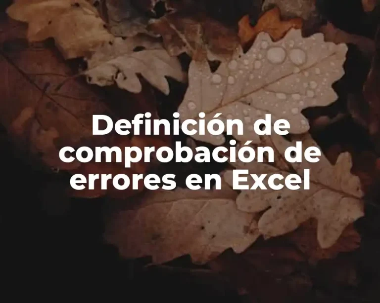 Definición de comprobación de errores en Excel