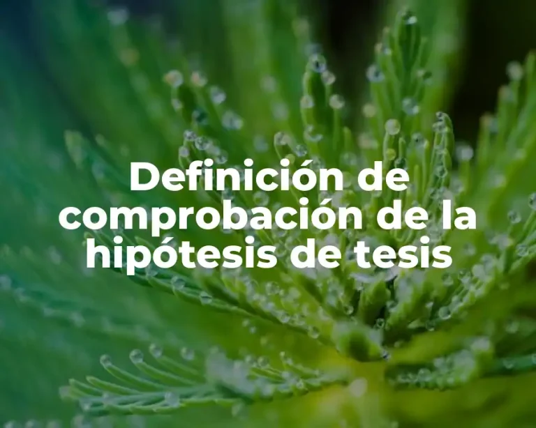Definición de comprobación de la hipótesis de tesis