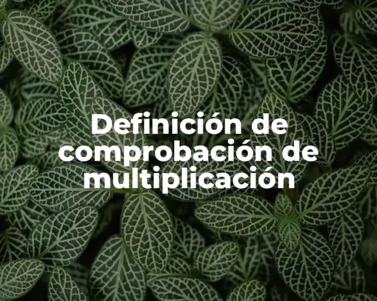 Definición de comprobación de multiplicación