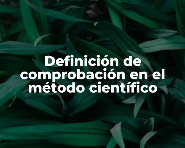 Definición de comprobación en el método científico