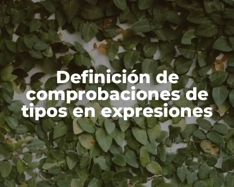Definición de comprobaciones de tipos en expresiones