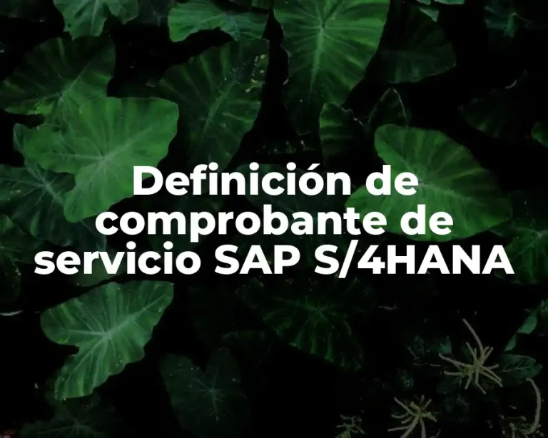 Definición de comprobante de servicio SAP S/4HANA