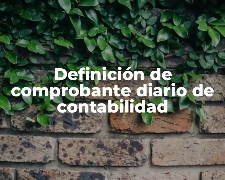 Definición de comprobante diario de contabilidad