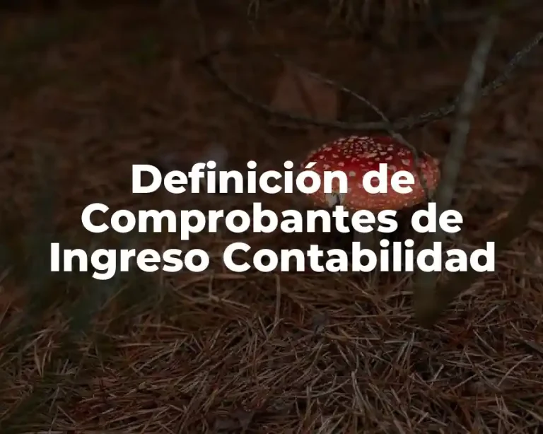 Definición de Comprobantes de Ingreso Contabilidad