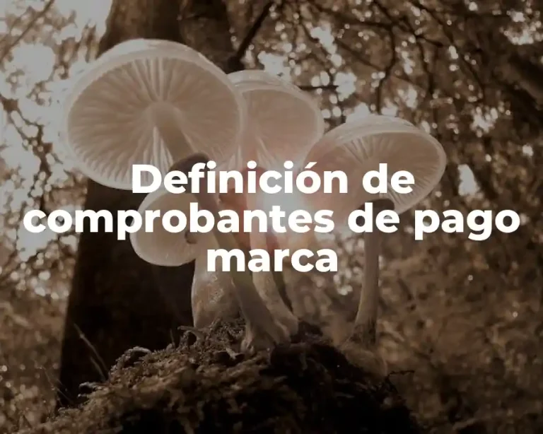 Definición de comprobantes de pago marca