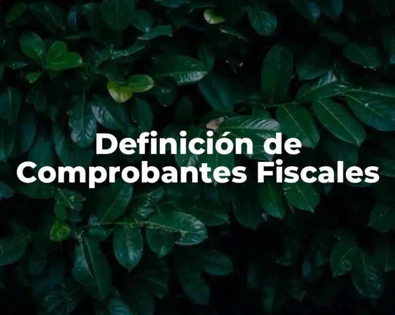 Definición de Comprobantes Fiscales