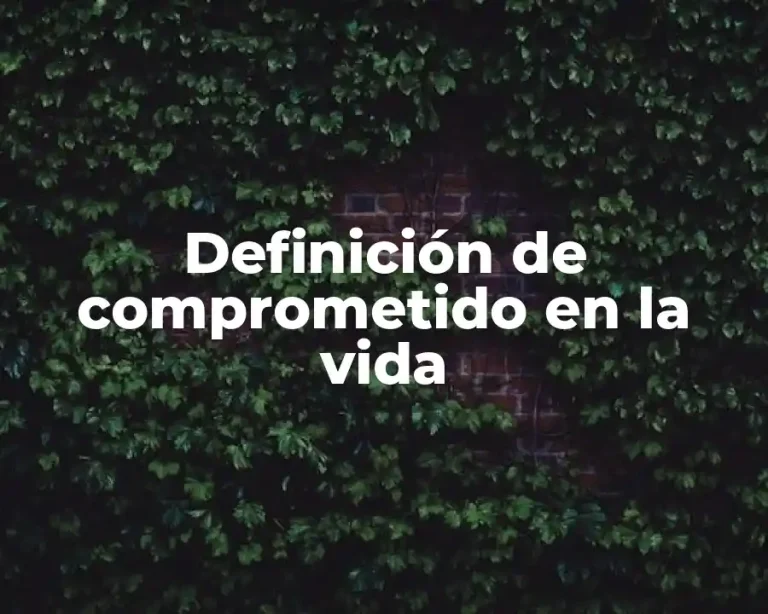 Definición de comprometido en la vida