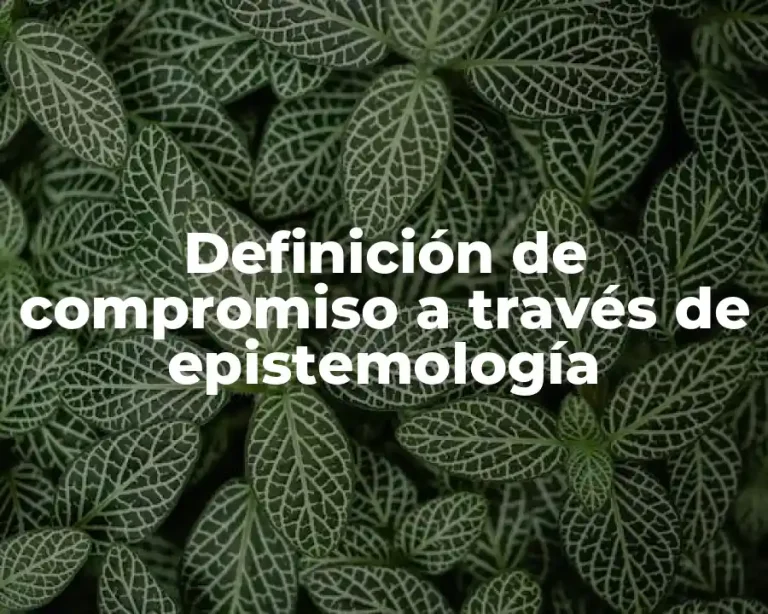 Definición de compromiso a través de epistemología