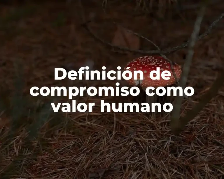 Definición de compromiso como valor humano