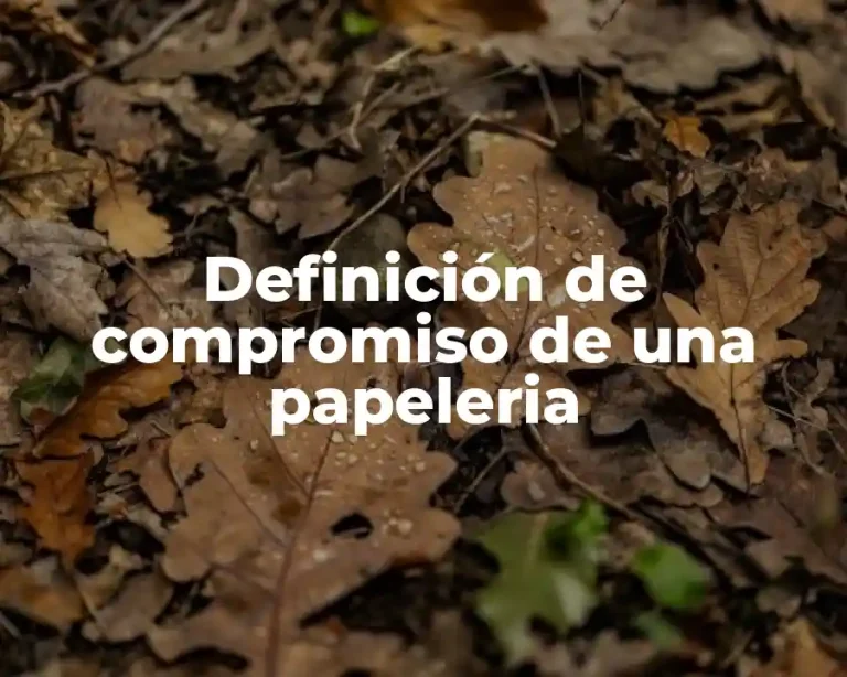Definición de compromiso de una papeleria