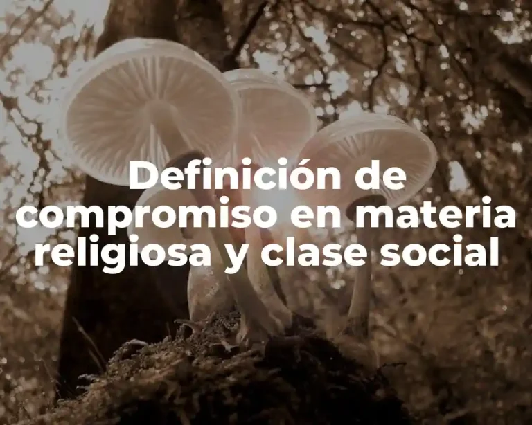 Definición de compromiso en materia religiosa y clase social