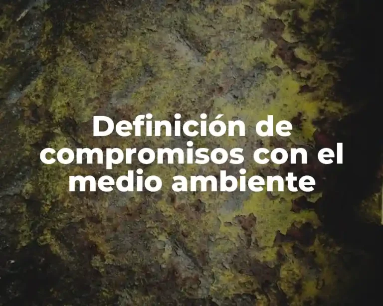 Definición de compromisos con el medio ambiente