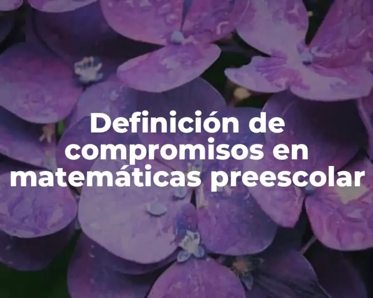 Definición de compromisos en matemáticas preescolar