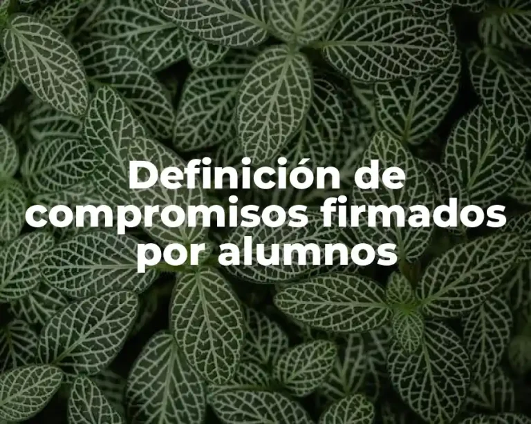 Definición de compromisos firmados por alumnos