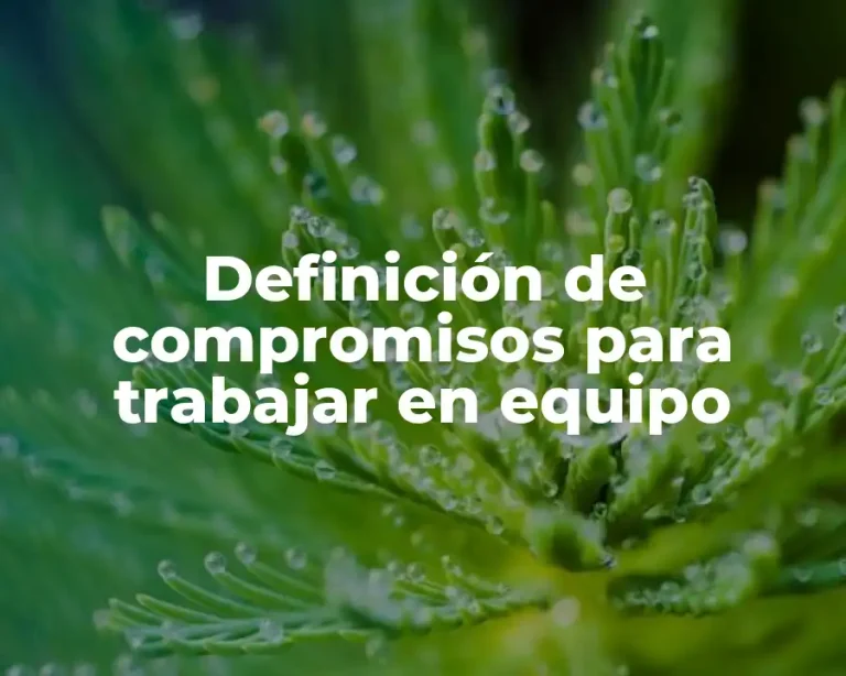 Definición de compromisos para trabajar en equipo