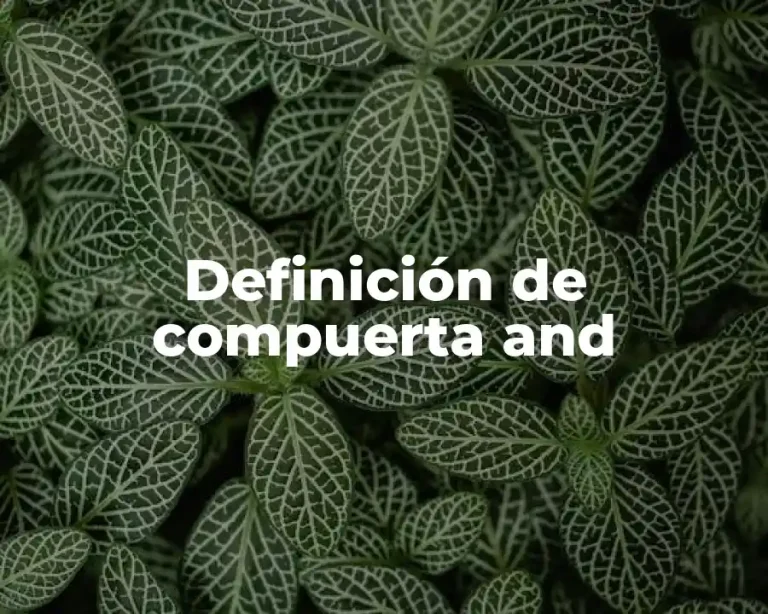Definición de compuerta and